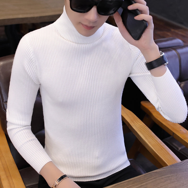 Herren Stehkragenpullover aus feinem Rippstrick Echoarchiv