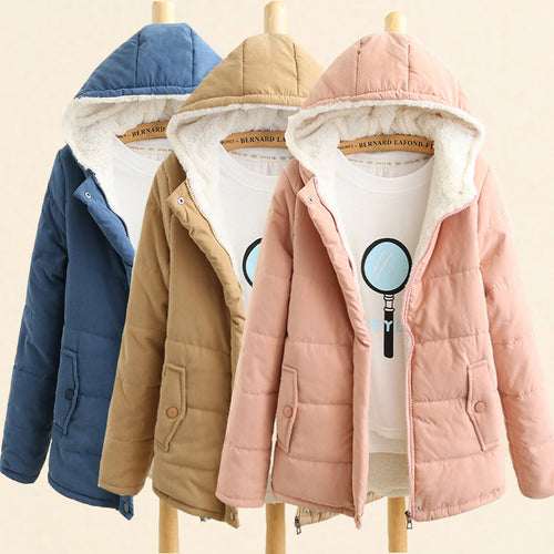 Damen nan gesteppte Kapuzenjacke mit Teddyfutter, verdeckter Druckknopfleiste und aufgesetzten Taschen Echo Archiv