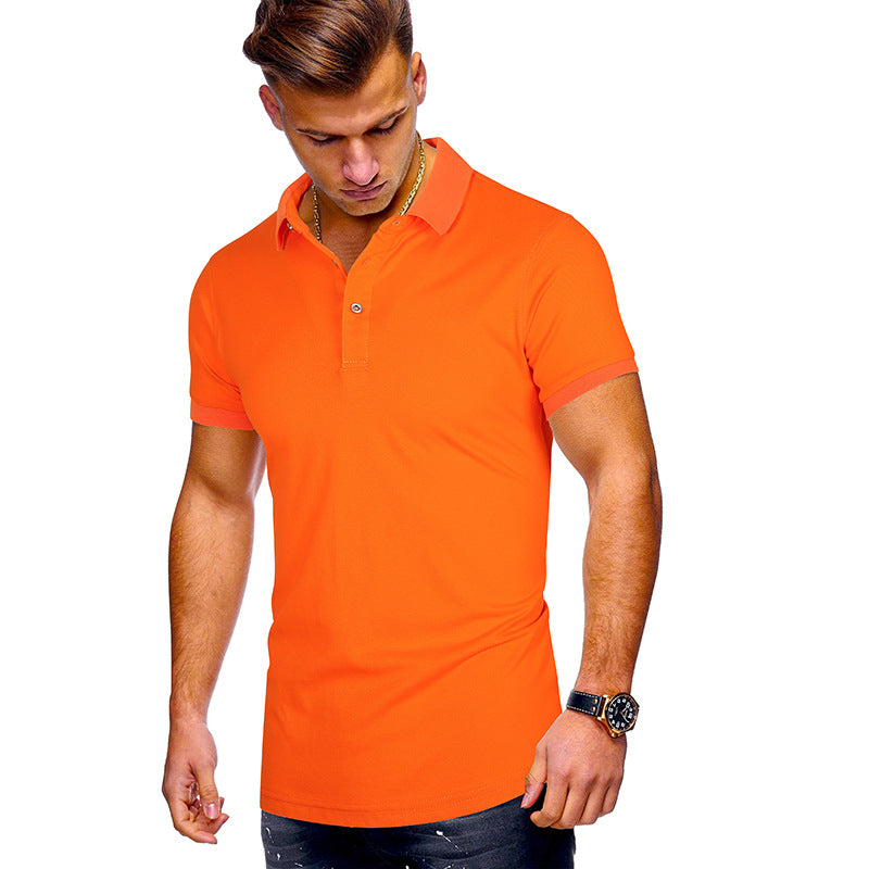 Herren Poloshirt mit hochwertigem Baumwollmix und modernem Stehkragen Echoarchiv