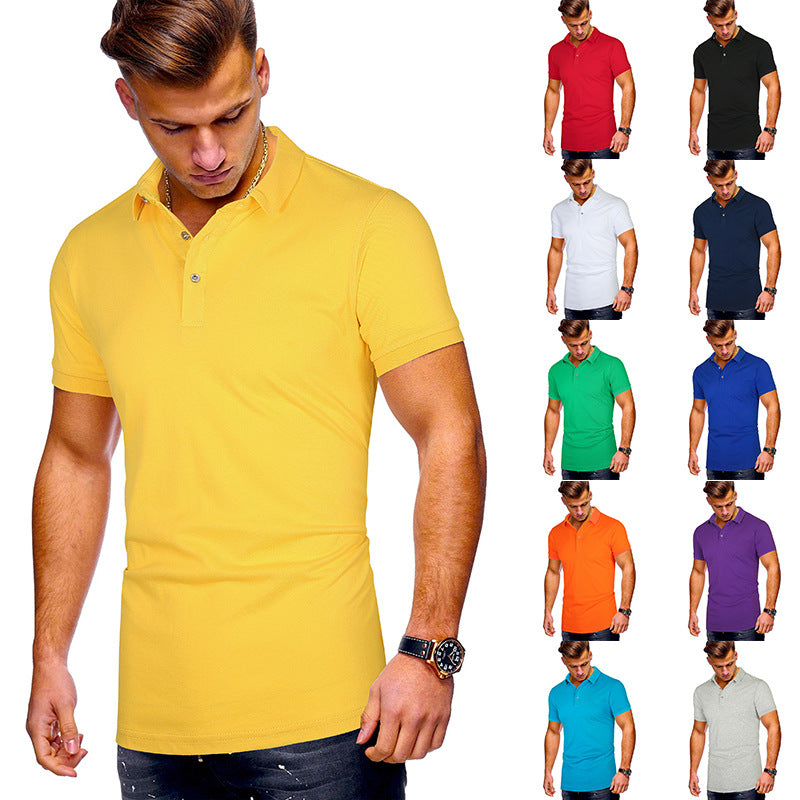 Herren Poloshirt mit hochwertigem Baumwollmix und modernem Stehkragen Echoarchiv