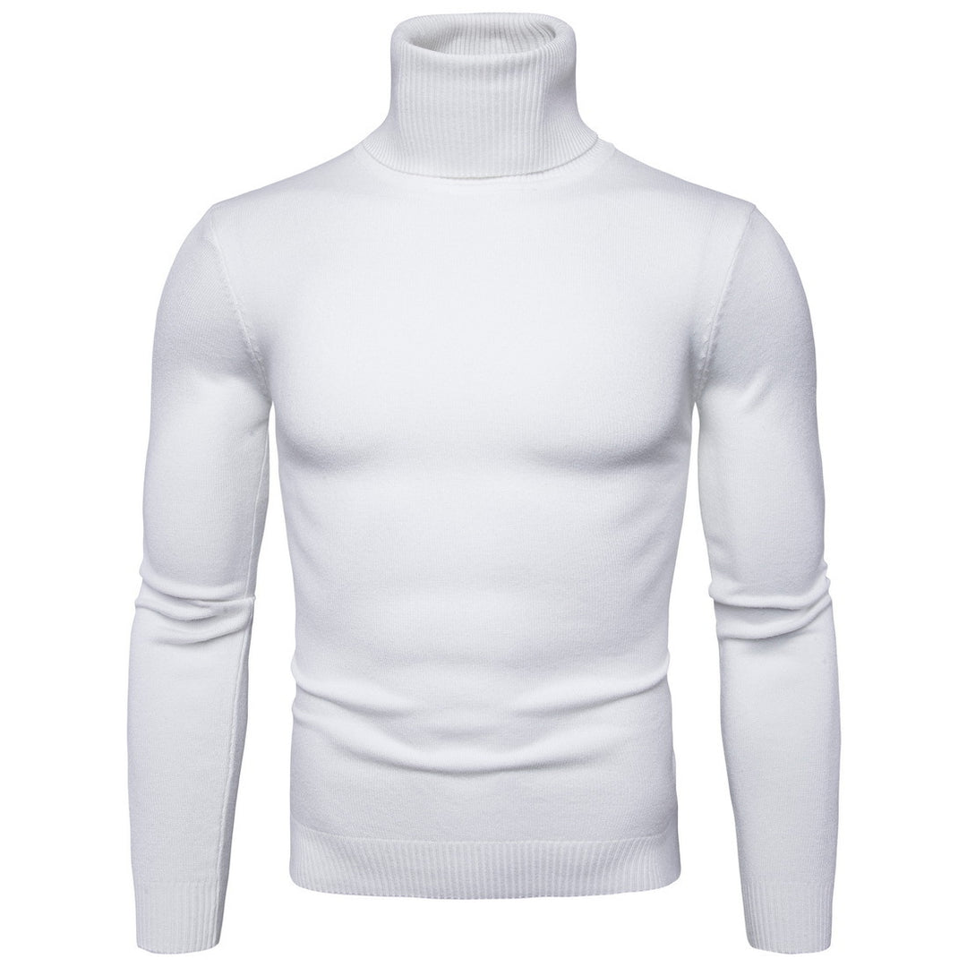 Herren Rollkragenpullover aus weicher Merinowolle mit eleganter Struktur Echoarchiv