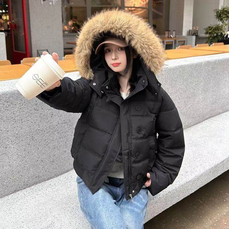 Kurze Damen-Winterjacke mit großem Kragen