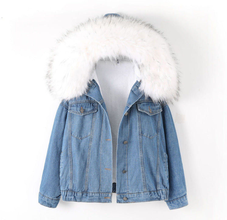 Gefütterte Jeansjacke mit großem Fellkragen