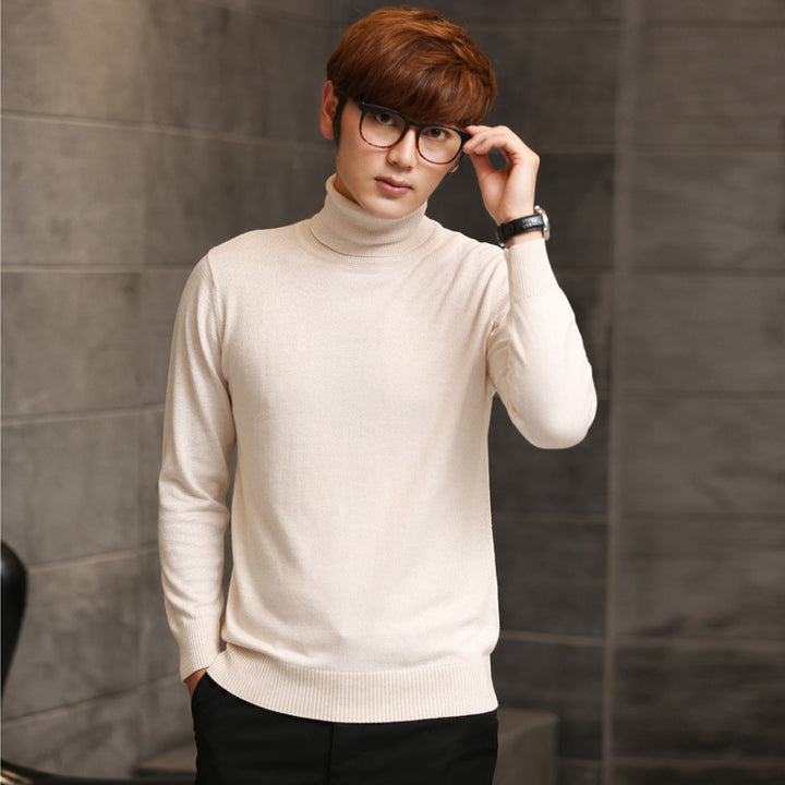 Herren Wollpullover mit Rollkragen