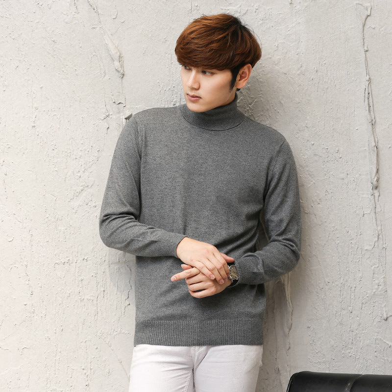 Herren Wollpullover mit Rollkragen