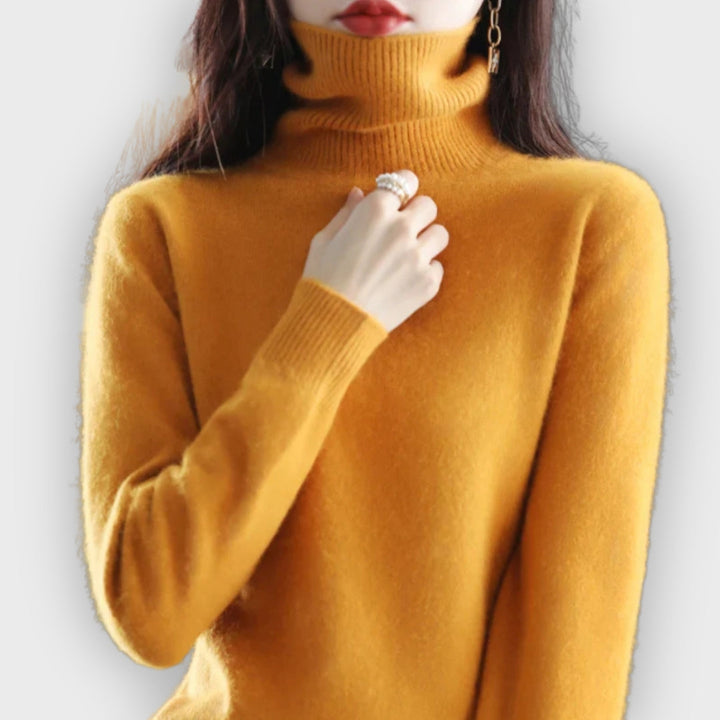Echoarchiv | Klassischer Rollkragenpullover