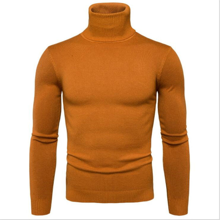 Herren Rollkragenpullover aus feinem Strick Echoarchiv
