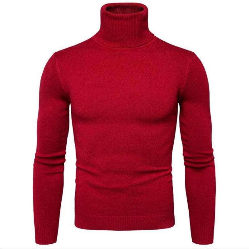 Herren Rollkragenpullover aus feinem Strick Echoarchiv