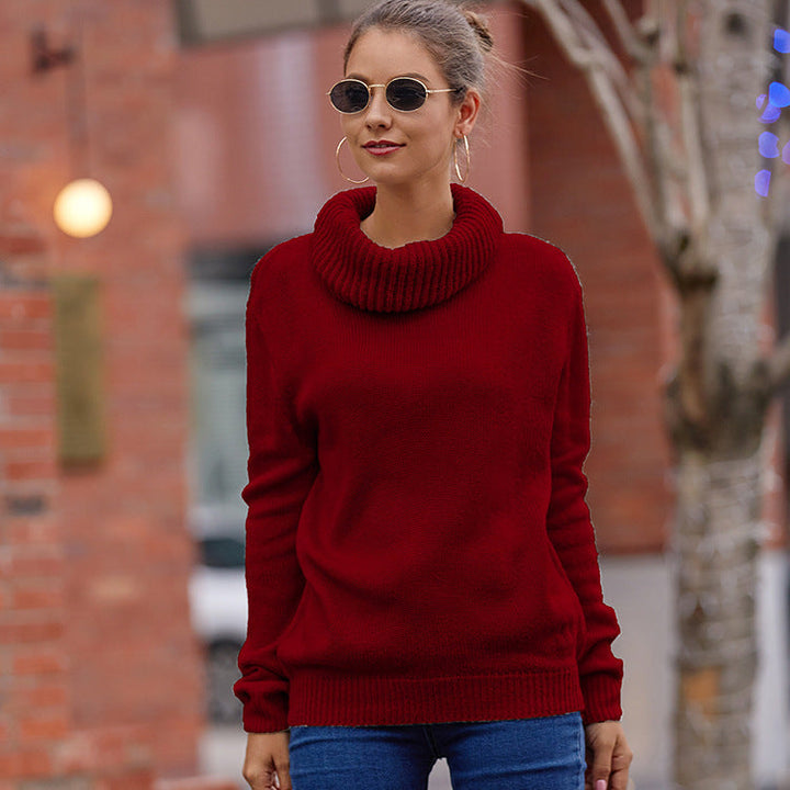 Damen Kuscheliger Rollkragenpullover aus weichem Strick Echoarchiv