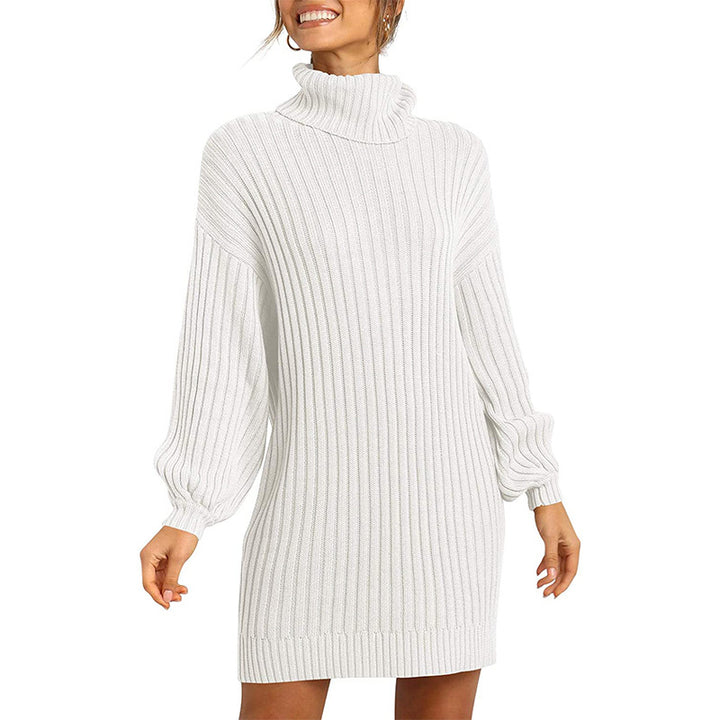 Damen Geripptes Rollkragen-Minikleid mit Oversize-Silhouette und Ballonärmeln Echo Archiv
