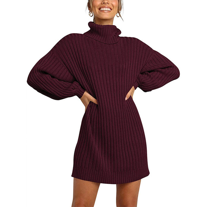 Damen Geripptes Rollkragen-Minikleid mit Oversize-Silhouette und Ballonärmeln Echo Archiv
