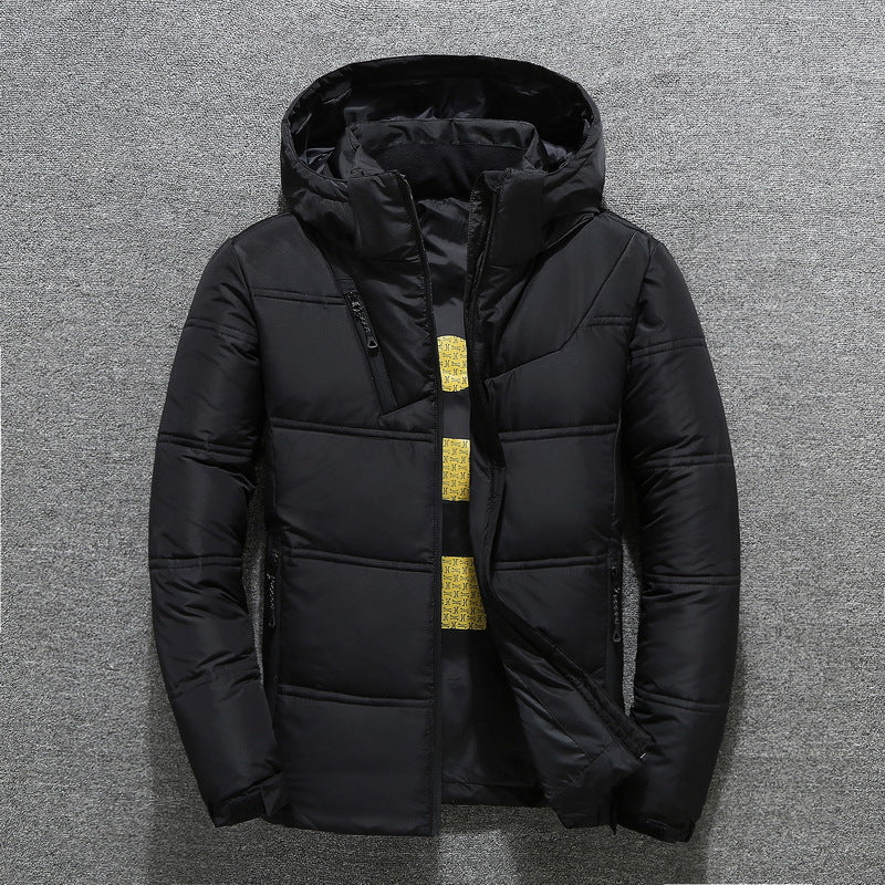 Herren modische gesteppte Winterjacke mit Kapuze Echoarchiv