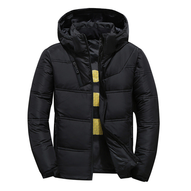 Herren modische gesteppte Winterjacke mit Kapuze Echoarchiv