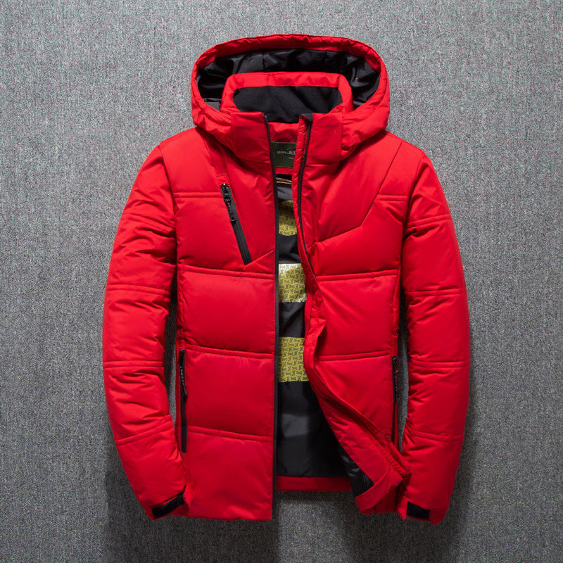 Herren modische gesteppte Winterjacke mit Kapuze Echoarchiv