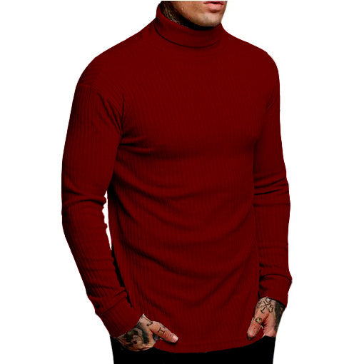 Herren modischer Rollkragenpullover Echoarchiv
