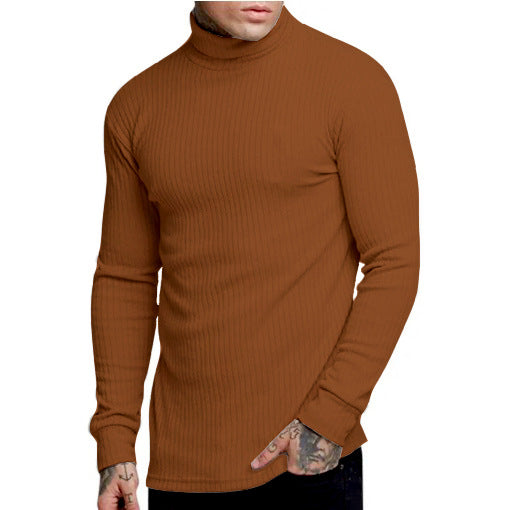 Herren modischer Rollkragenpullover Echoarchiv