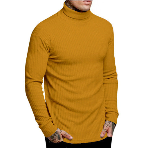 Herren modischer Rollkragenpullover Echoarchiv