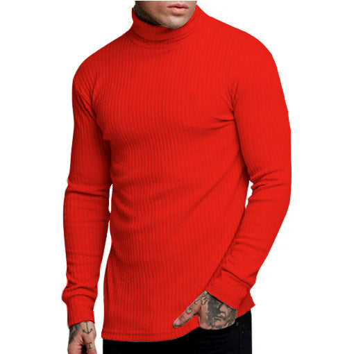 Herren modischer Rollkragenpullover Echoarchiv