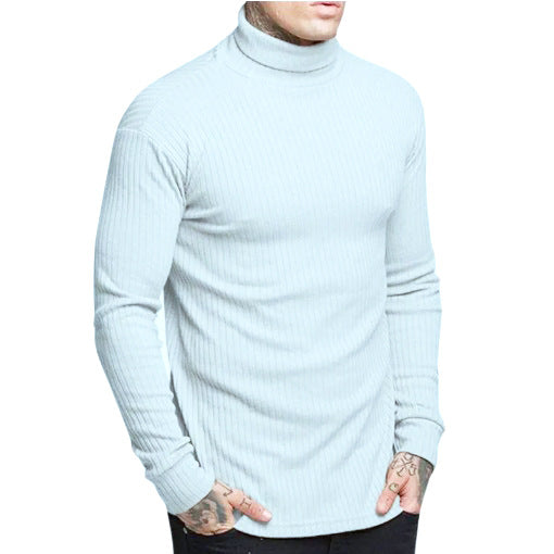 Herren modischer Rollkragenpullover Echoarchiv