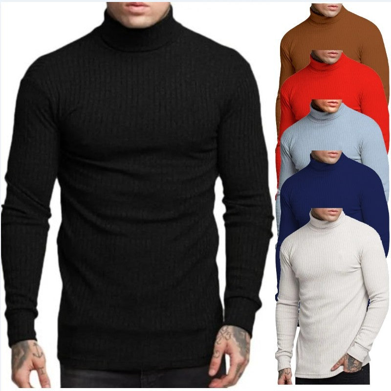 Herren modischer Rollkragenpullover Echoarchiv