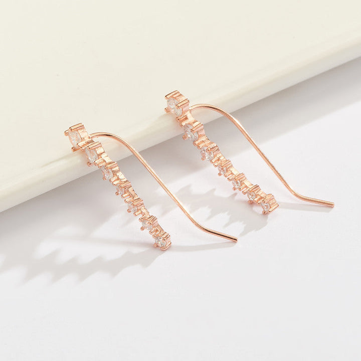 Echoarchiv | Glamour Glänzender Zirkon 925 Sterling Silber Ohrring