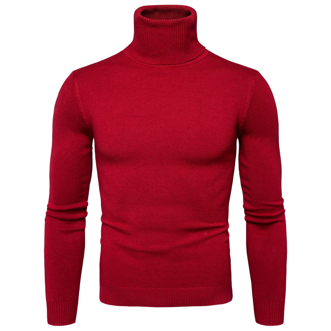 Herren Rollkragenpullover aus weichem Strick Echoarchiv