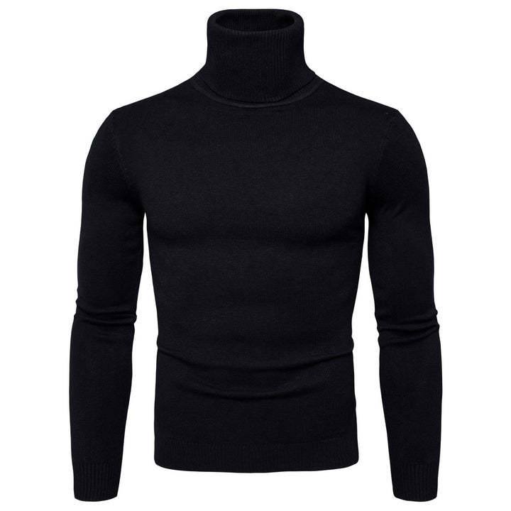 Herren Rollkragenpullover aus weicher Merinowolle mit eleganter Struktur Echoarchiv