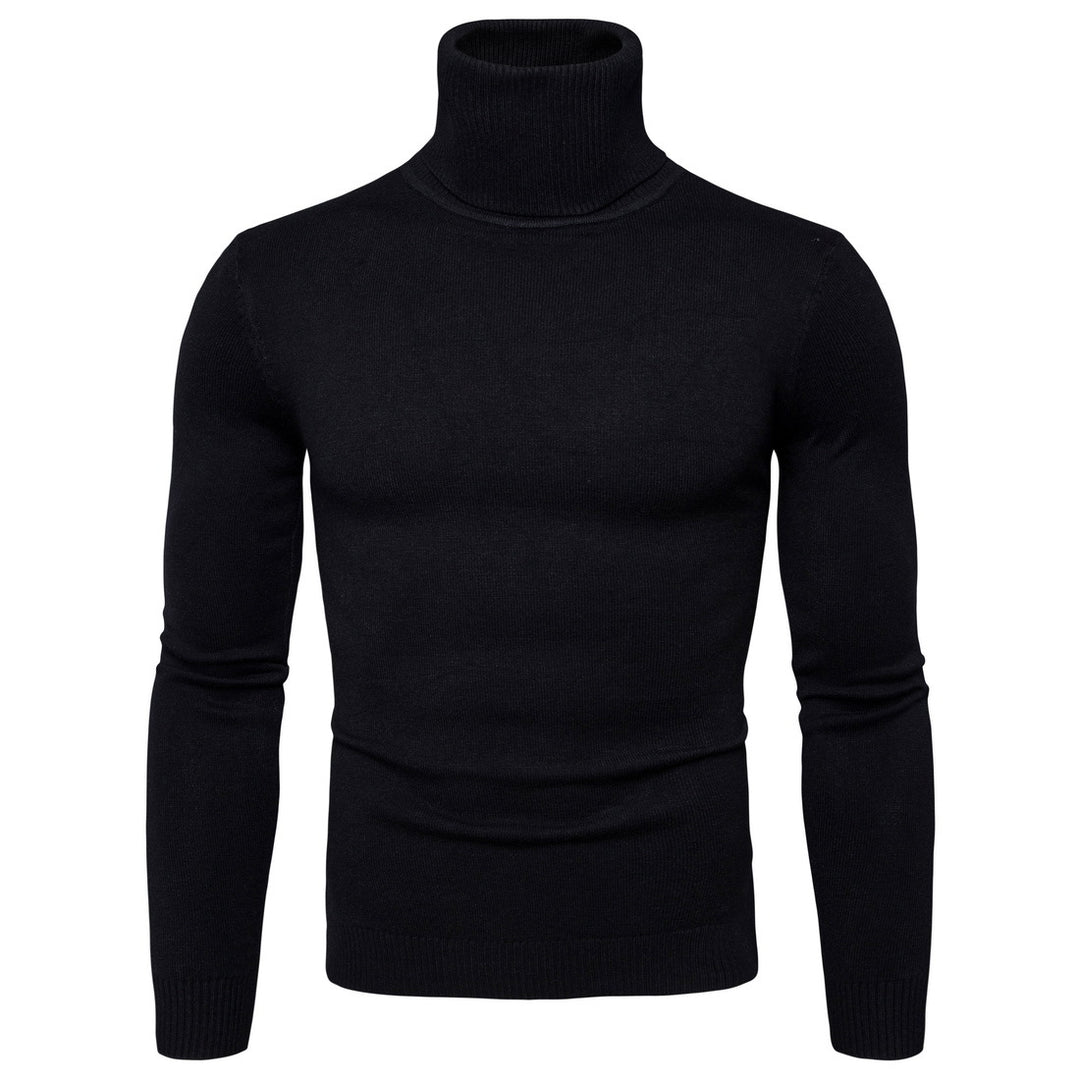 Herren Rollkragenpullover aus weichem Strick Echoarchiv