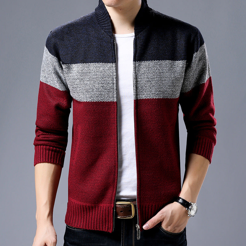 Herren Strick-Zipjacke mit Blockstreifen, Stehkragen und Rippbündchen Echoarchiv