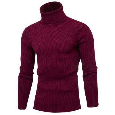 Herren Rollkragenpullover aus feinem Rippstrick Echoarchiv