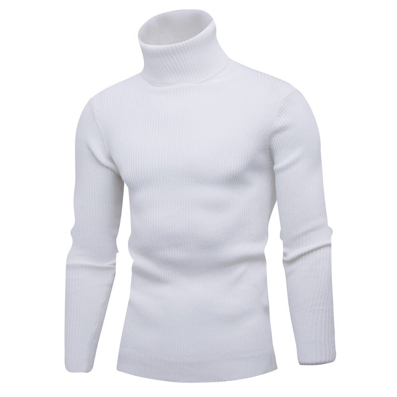 Herren Rollkragenpullover aus feinem Rippstrick Echoarchiv