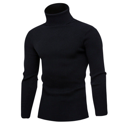 Herren Rollkragenpullover aus feinem Rippstrick Echoarchiv
