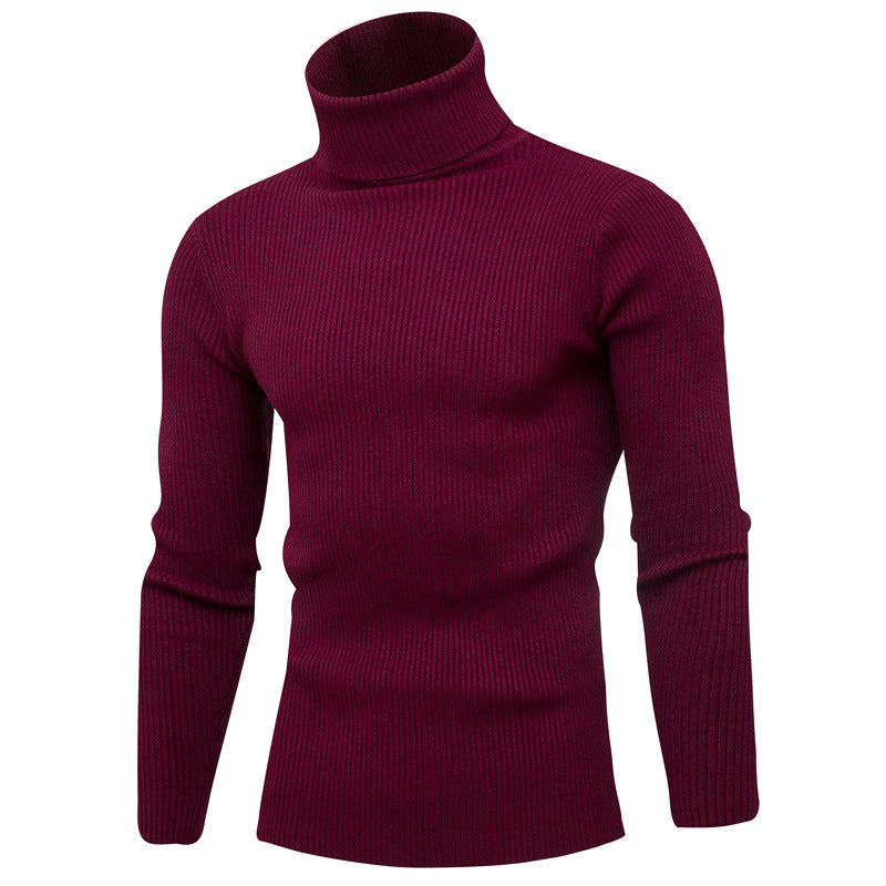 Herren eleganter Rollkragenpullover aus weichem Strick Echoarchiv