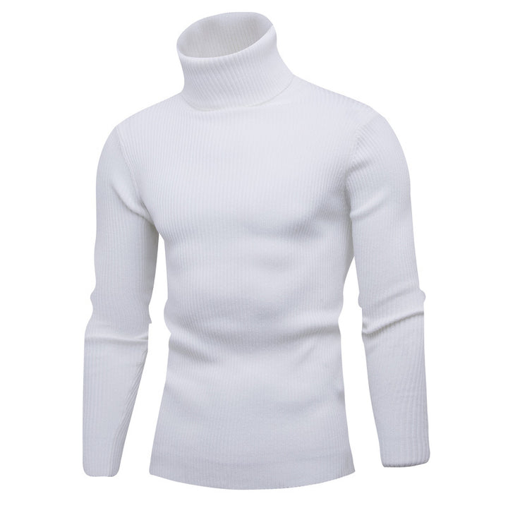 Herren eleganter Rollkragenpullover aus weichem Strick Echoarchiv
