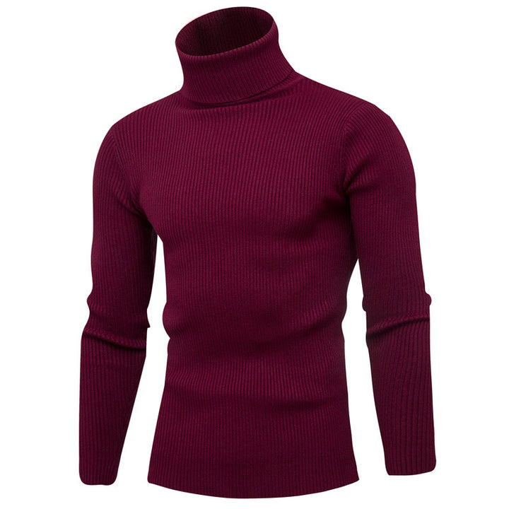 Herren eleganter Rollkragenpullover aus weichem Strick Echoarchiv