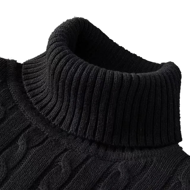 Echoarchiv | Kuscheliger Herrenpullover mit trendigem Rollkragen - Wintersaison 2024