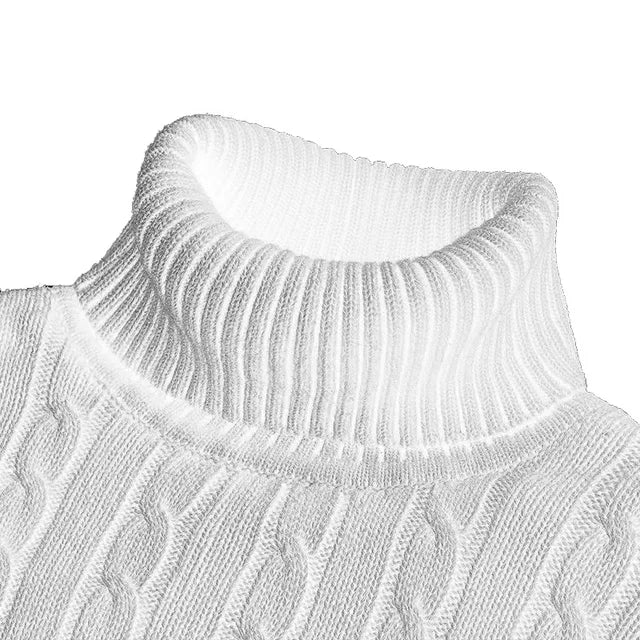 Echoarchiv | Kuscheliger Herrenpullover mit trendigem Rollkragen - Wintersaison 2024