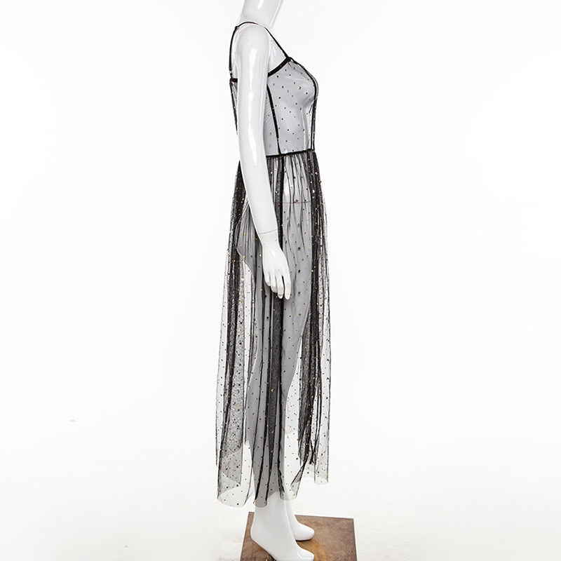 Echoarchiv | Stern Schwarz Netz Transparent Ärmelloses Maxi-Kleid