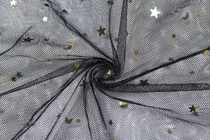 Echoarchiv | Stern Schwarz Netz Transparent Ärmelloses Maxi Kleid