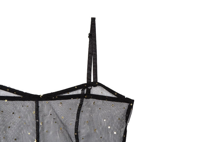 Echoarchiv | Stern Schwarz Netz Transparent Ärmelloses Maxi-Kleid