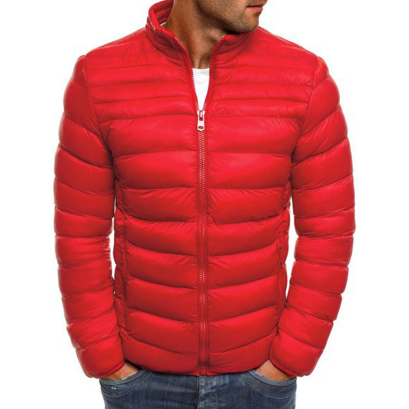 Herren modische Steppjacke mit hohem Kragen und seitlichen Reißverschlusstaschen Echoarchiv