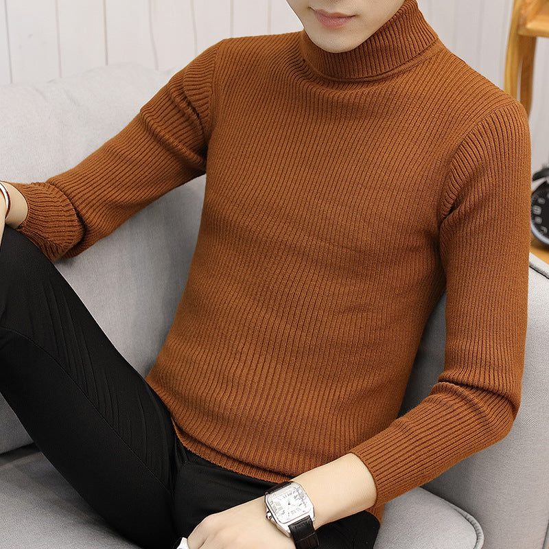 Herren Eleganter Rippstrick Rollkragenpullover Echoarchiv