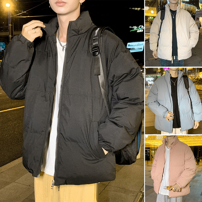 Herren Steppjacke mit hohem Kragen und elastischen Bündchen Echoarchiv