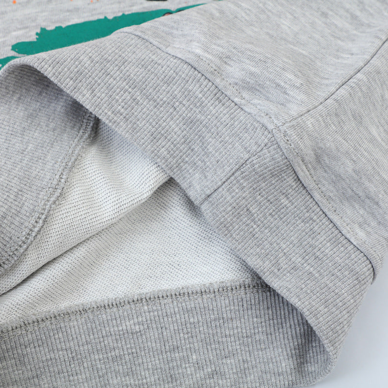 Jungen Sweatshirt mit lebendigem Dinosaurier-Motiv Echo Archiv