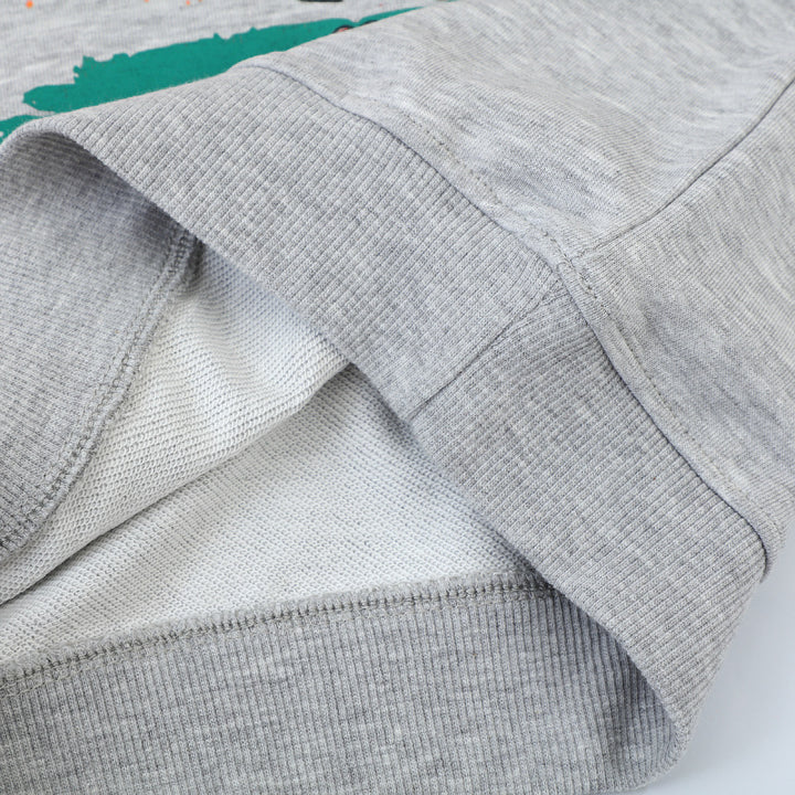 Jungen Sweatshirt mit lebendigem Dinosaurier-Motiv Echo Archiv