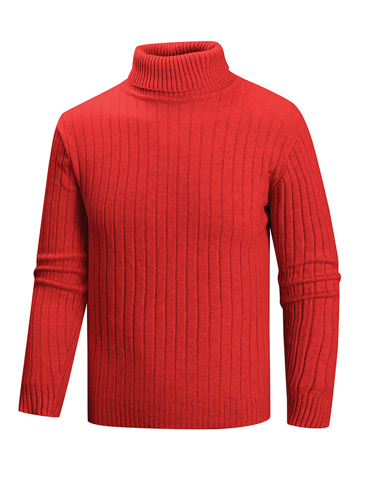 Herren Rollkragenpullover aus hochwertigem Feinstrick Echoarchiv