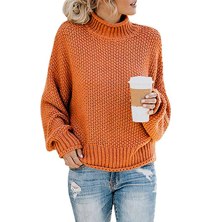 Damen nan grobstrick Rollkragenpullover mit Oversize-Schnitt und Blockstreifen-Optik Echo Archiv