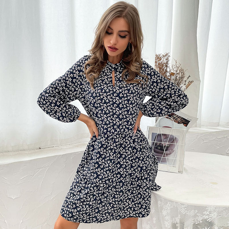 Damen Gestuftes Minikleid mit Stehkragen, Blumenprint und taillierter A‑Linie Echoarchiv
