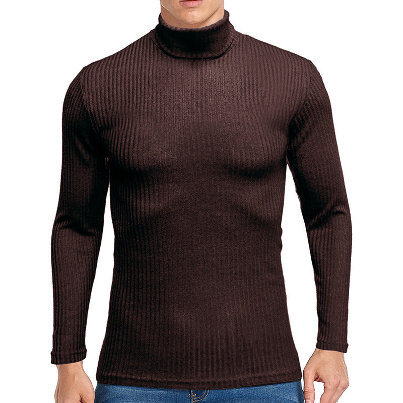 Herren feiner Rollkragenpullover aus strukturiertem Strick Echoarchiv