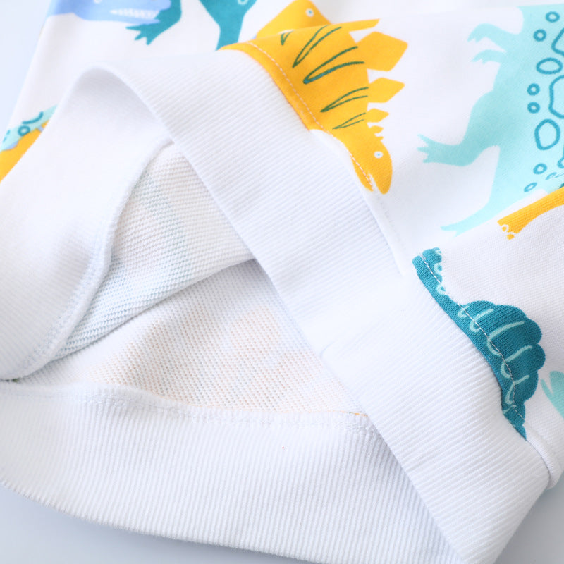 Jungen Sweatshirt mit buntem Dinosaurier-Design Echo Archiv